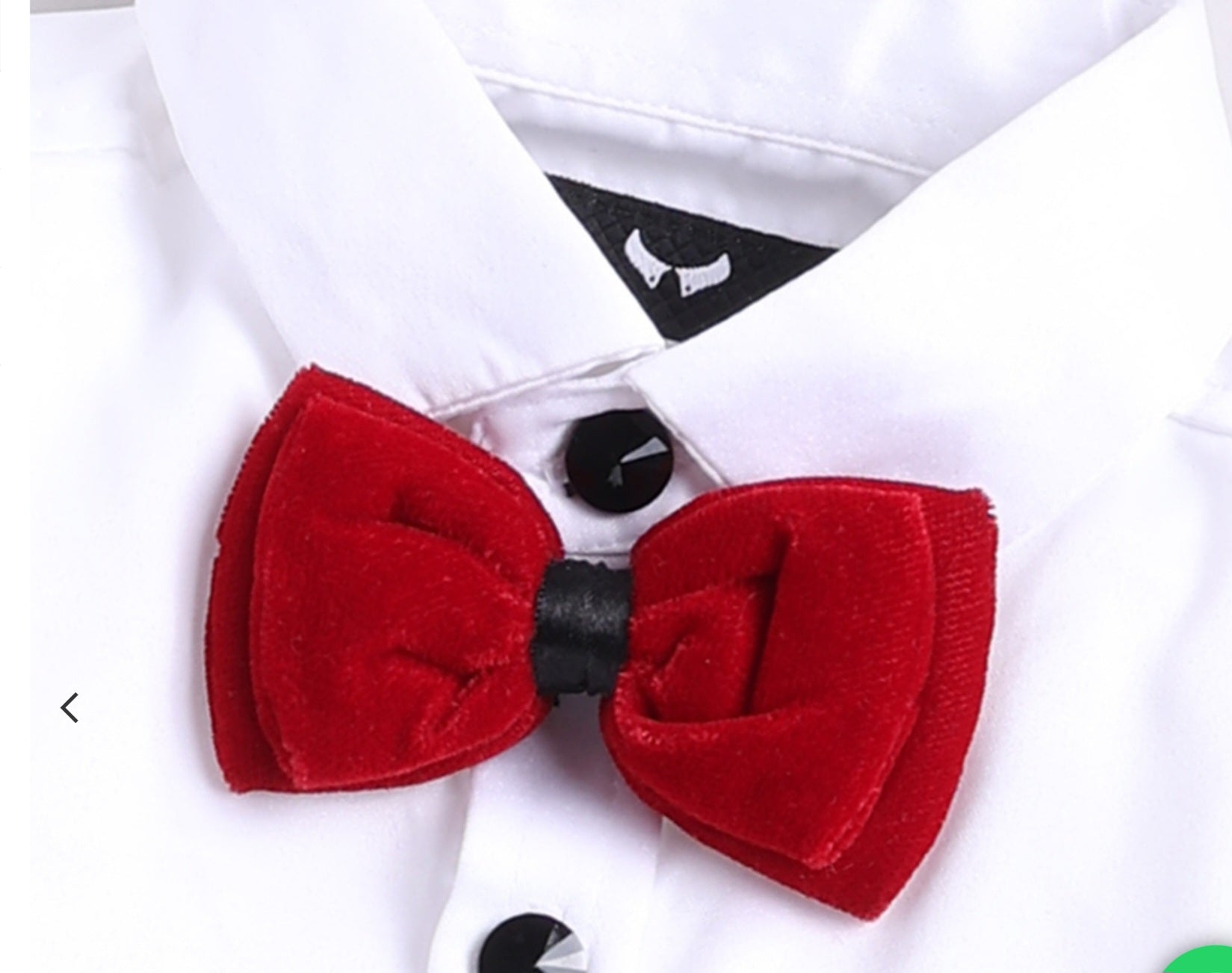 Dapper Black Party wear Coat Set with Red Bow