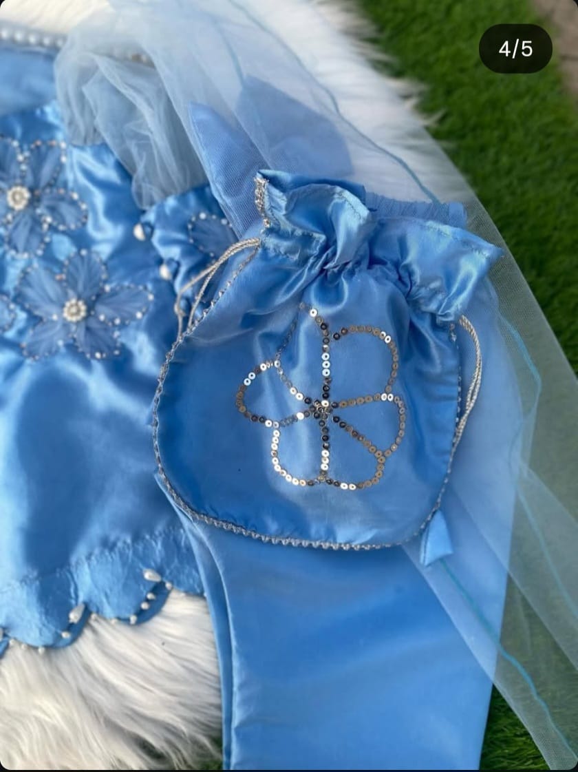 Kids Sky Blue Embroidered Suit